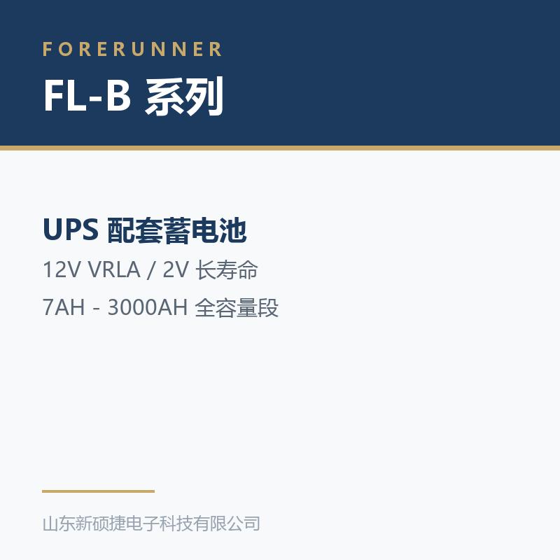 富兰纳尔 FL-B 系列蓄电池（12V VRLA / 2V 长寿命，7AH-3000AH）